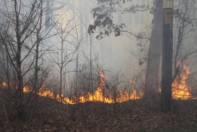Center Moriches Firefighters Battle Massive Brush Fire In Ridge ...