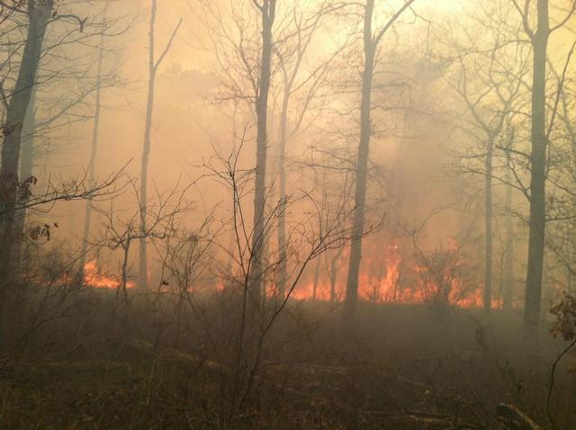 Center Moriches Firefighters Battle Massive Brush Fire In Ridge ...